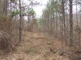 0000 Catron Branch Road - Photo 12