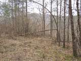 0000 Catron Branch Road - Photo 13
