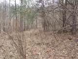 0000 Catron Branch Road - Photo 14