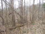 0000 Catron Branch Road - Photo 15