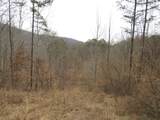 0000 Catron Branch Road - Photo 16