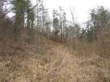 0000 Catron Branch Road - Photo 19