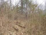 0000 Catron Branch Road - Photo 20