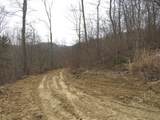 0000 Catron Branch Road - Photo 21