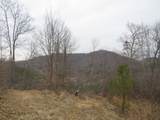 0000 Catron Branch Road - Photo 24
