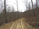 0000 Catron Branch Road - Photo 28