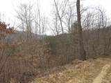 0000 Catron Branch Road - Photo 29