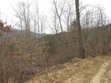 0000 Catron Branch Road - Photo 30