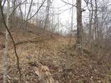 0000 Catron Branch Road - Photo 31