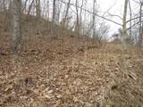 0000 Catron Branch Road - Photo 32