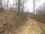 0000 Catron Branch Road - Photo 33