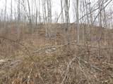 0000 Catron Branch Road - Photo 34