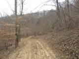 0000 Catron Branch Road - Photo 38