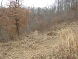 0000 Catron Branch Road - Photo 39