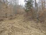 0000 Catron Branch Road - Photo 4