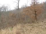 0000 Catron Branch Road - Photo 40