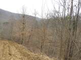 0000 Catron Branch Road - Photo 42