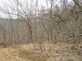 0000 Catron Branch Road - Photo 43