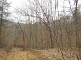 0000 Catron Branch Road - Photo 44