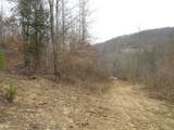0000 Catron Branch Road - Photo 6