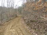 0000 Catron Branch Road - Photo 8