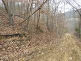 0000 Catron Branch Road - Photo 9