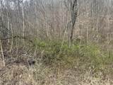 0 Left Fork Cains Creek Road - Photo 11