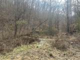 0 Left Fork Cains Creek Road - Photo 12