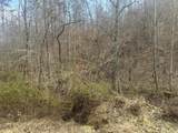 0 Left Fork Cains Creek Road - Photo 13