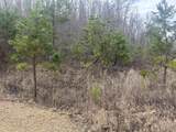 0 Left Fork Cains Creek Road - Photo 15