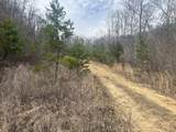 0 Left Fork Cains Creek Road - Photo 16