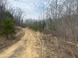 0 Left Fork Cains Creek Road - Photo 19
