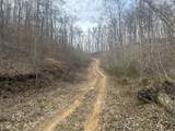 0 Left Fork Cains Creek Road - Photo 22