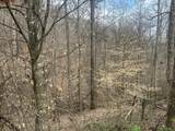 0 Left Fork Cains Creek Road - Photo 24