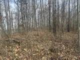 0 Left Fork Cains Creek Road - Photo 29