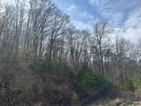 0 Left Fork Cains Creek Road - Photo 3
