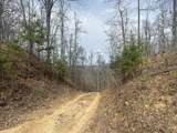 0 Left Fork Cains Creek Road - Photo 30