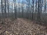 0 Left Fork Cains Creek Road - Photo 31