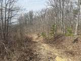 0 Left Fork Cains Creek Road - Photo 32