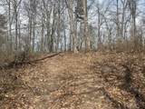 0 Left Fork Cains Creek Road - Photo 33