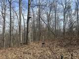 0 Left Fork Cains Creek Road - Photo 37