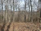 0 Left Fork Cains Creek Road - Photo 39
