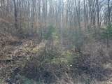 0 Left Fork Cains Creek Road - Photo 4