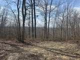 0 Left Fork Cains Creek Road - Photo 41