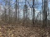 0 Left Fork Cains Creek Road - Photo 42