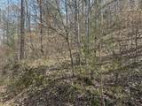 0 Left Fork Cains Creek Road - Photo 6