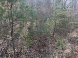 0 Left Fork Cains Creek Road - Photo 7