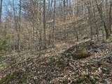 0 Left Fork Cains Creek Road - Photo 8