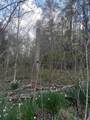 0 Herd Road - Photo 2
