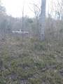 0 Herd Road - Photo 7